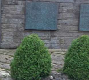 Blühendes Neresheim 2021