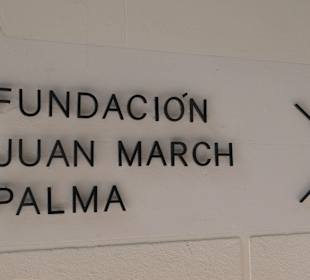 Besuch des Museum Fundación Juan March in Palma