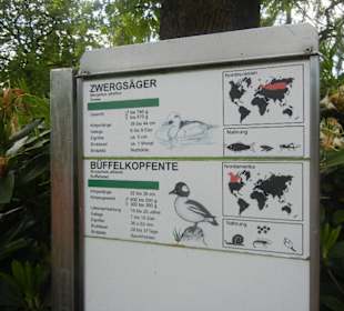 Tierpark Hagenbeck