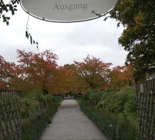 Hofgarten Salem