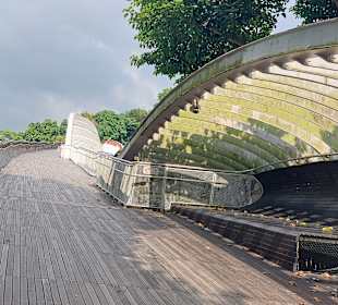 Henderson Waves Bridge
