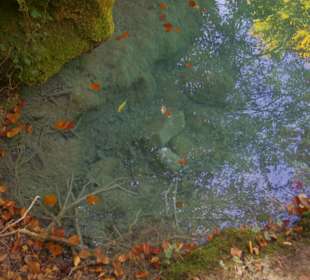 Горный нацпарк Истоки реки Уредерра, Наварра