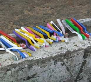 Alles unter Kontrolle im Yala Park - 