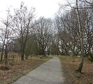Naturschutzgebiet Boberger Niederung