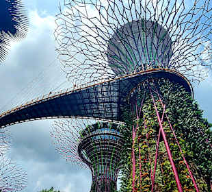 Gardens by the Bay