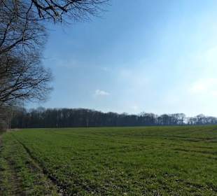 Weitblick auf dem Rückweg