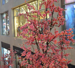 Shoppingcenter Pavilion