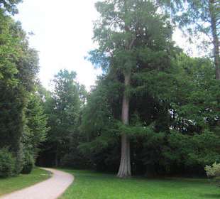 Schloss Favorite Rastatt