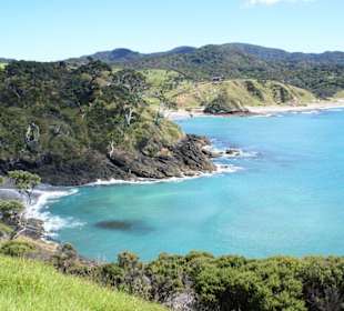 Elliot Bay / Bay of Islands