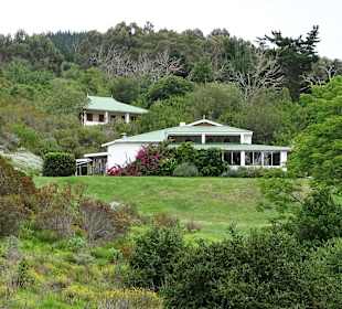 Pembreys Restaurant sehr zu empfehlen