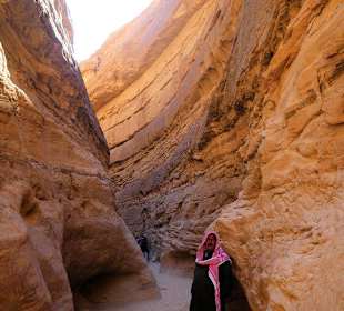 Unser Beduinen-Führer