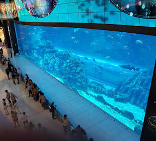 Aqaurium Aussenansicht