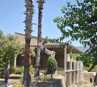 Basilika des hl. Sankt Nikolaus