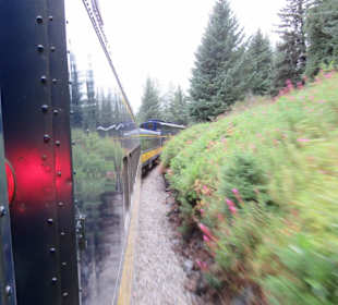 Auf den Weg in Alaskas Natur