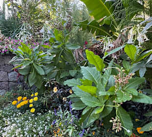 Schloss Trauttmansdorff