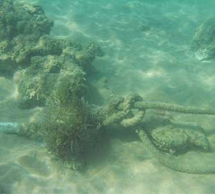 Alte Verankerung im Meer, im Badebereich