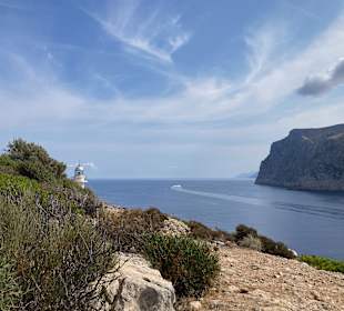 Dracheninsel/Dragonera