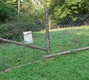 Altwege Rundwanderung Bebenhausen