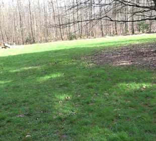 Gomaringer Rundweg - Zu den Giganten im Wald