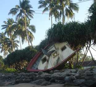 Tsunami-Rest
