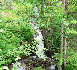 Am Fuße des Hochzeigers