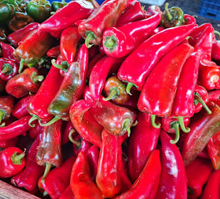 Stadtrundgang Paralia Kourna