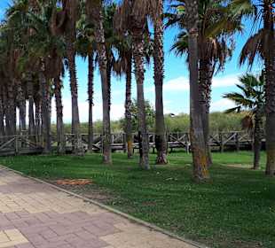 Playa de Los Haraganes