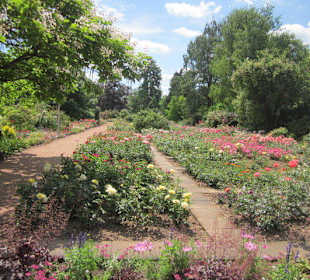 Rosengarten Zweibrücken