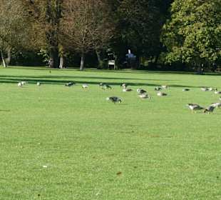 Ein Tag im Englischen Garten