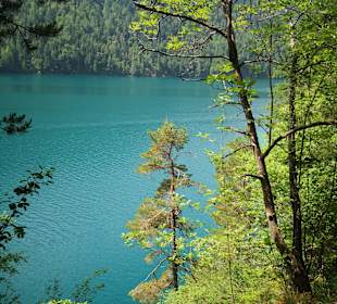 Weissensee