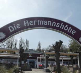 Pause auf der Terrasse vom Rest./Café Hermannshöhe