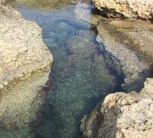 Spacer po plaży w Sfakaki