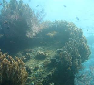 Wracktauchen in Bali