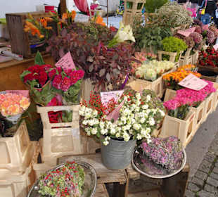 Impressionen vom Salzburger Grünmarkt