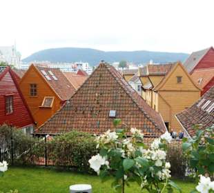 Bryggen