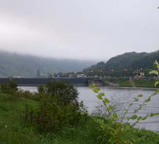 Wandern Enkirch/Mosel