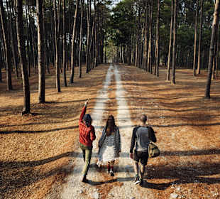 Wandern Kassel