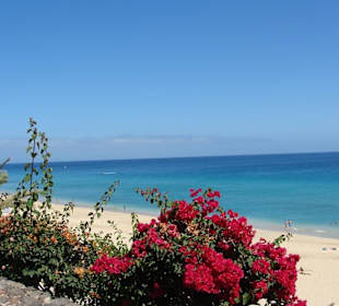 Droga z Moro Jable do hotelu