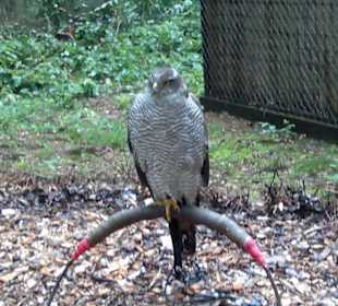 Zoo Olomouc