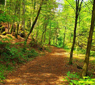 Wanderung zum Bärenfels