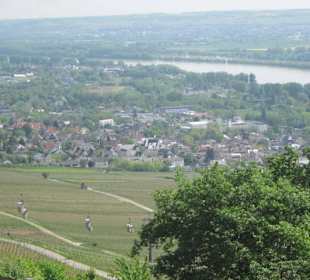Das Rebenhaus
