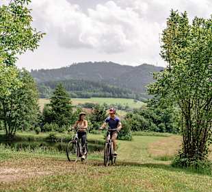 Wandern Winden im Elztal