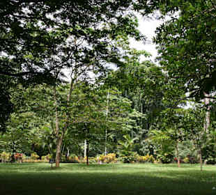 Botanischer Garten Kandy