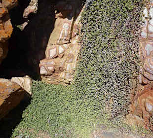 Aussichtspunkt Knysna