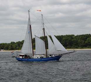 Kieler Förde Traditionssegler