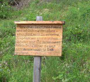 Waldlehrpfad in Tieringen