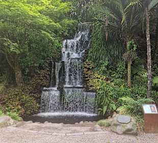 Pukekura Park