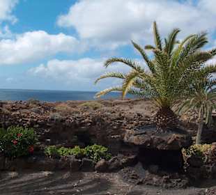 Jameos del Agua