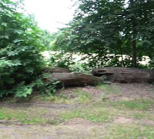 Waldspielplatz Siebeneich