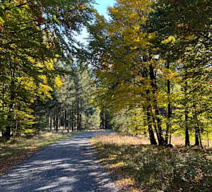Wandern in Willingen 